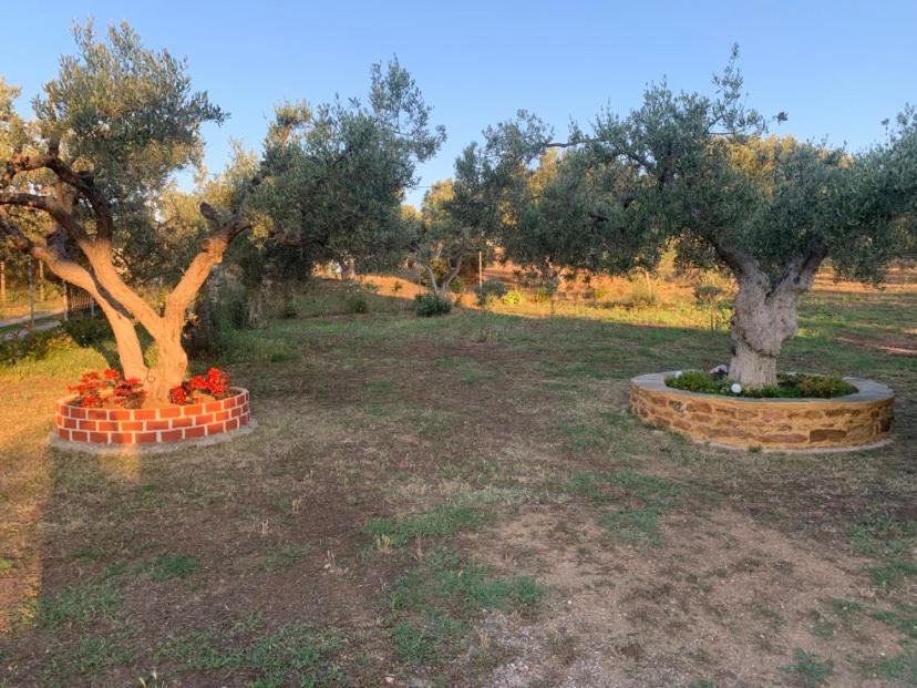 Dora'S Garden Villa Alexandroúpoli Eksteriør bilde