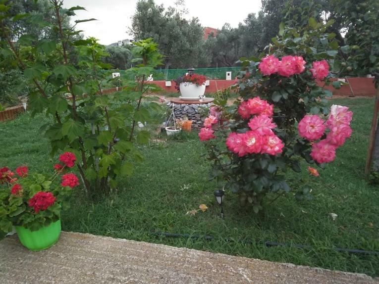 Dora'S Garden Villa Alexandroúpoli Eksteriør bilde